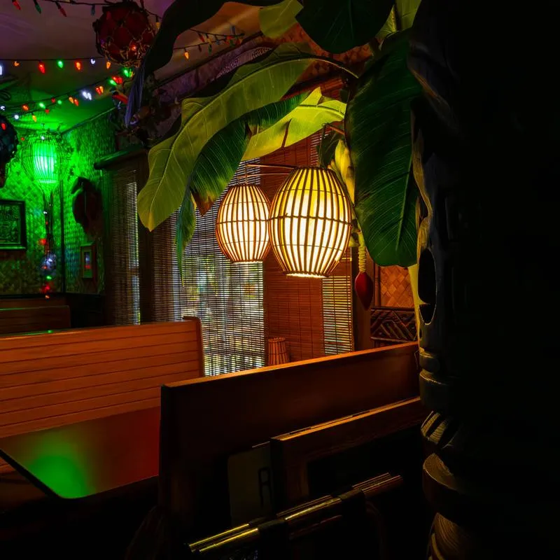 Interior of dining area, close up of wooden booths, soft lantern light, palm plant.