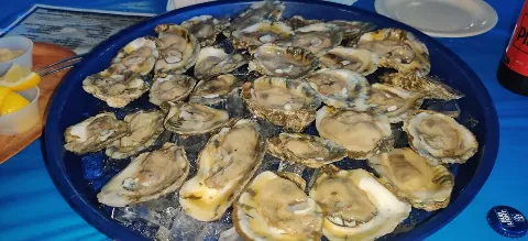 oysters raw.jpeg