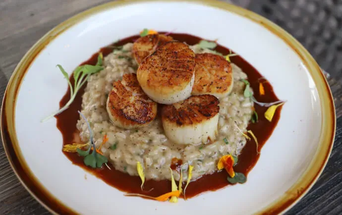 Risotto & Scallops - Dinner Menu
