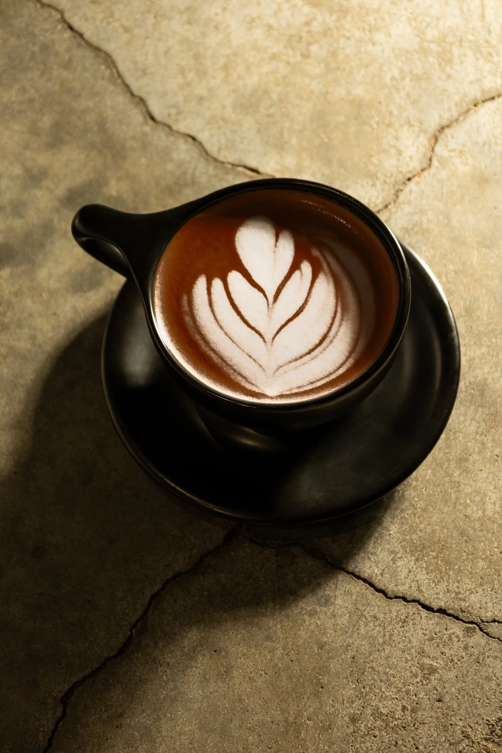Stock & Brew