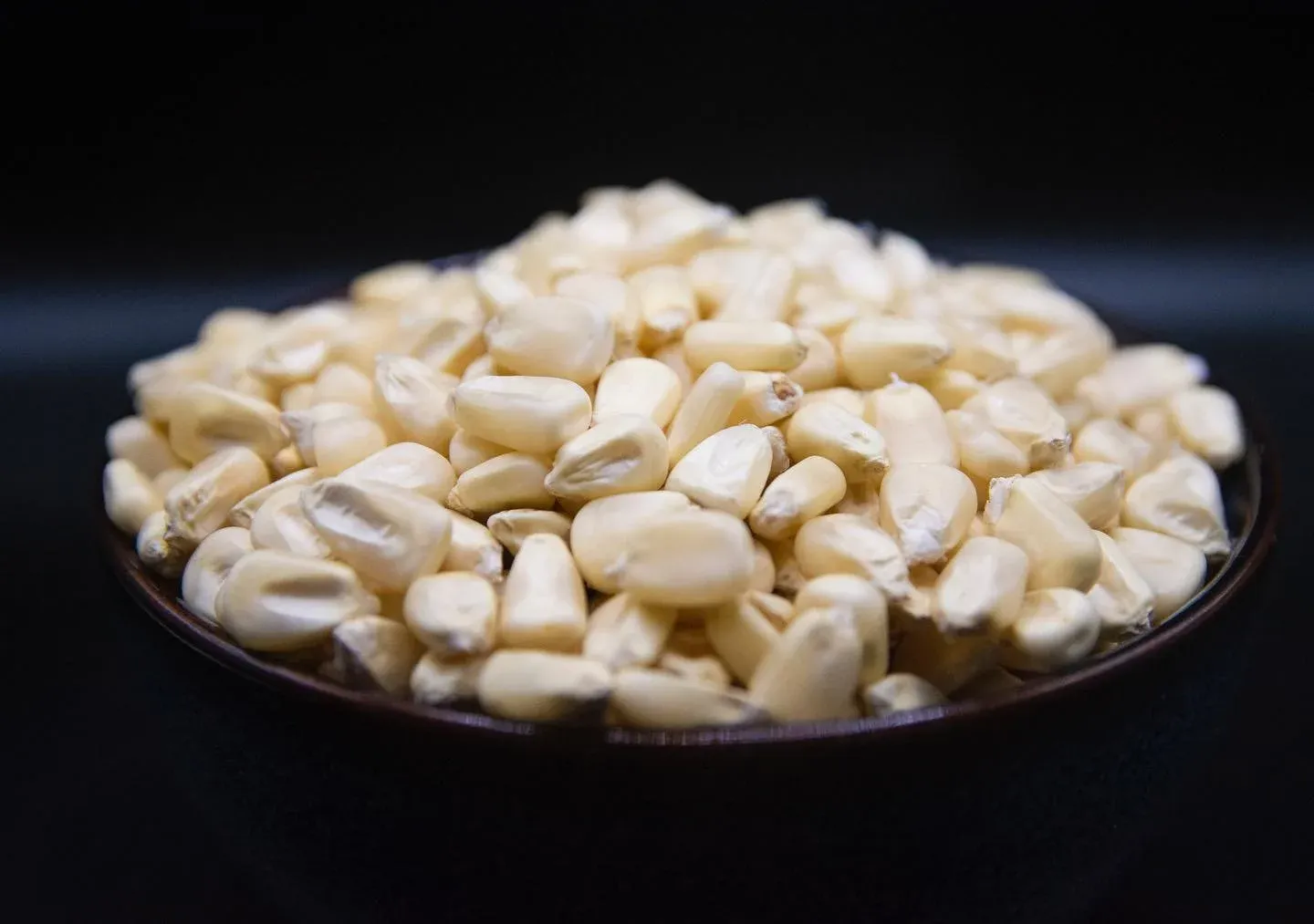 Our OG white corn 🌽  endless possibilities, it gives us a blank canvas to create 🎨 
.
.
#corn #whitecorn #conamor #florida #tampabay #tampa #clearwater #stpete #largo #dunedin #nixtamal #nixtamaliza