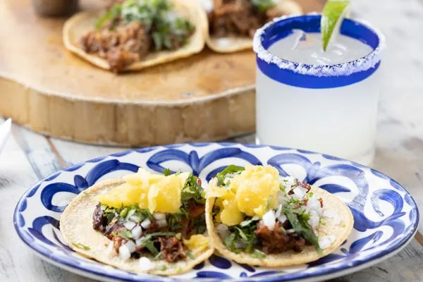 Tacology