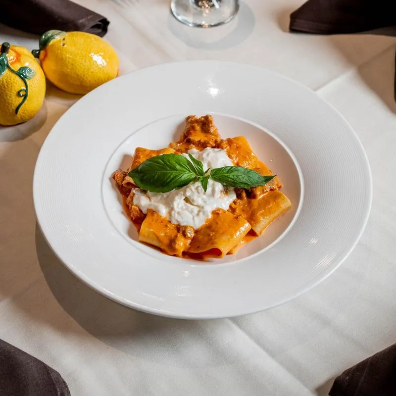 Rigatoni pasta with creamy vodka sauce and burrata cheese