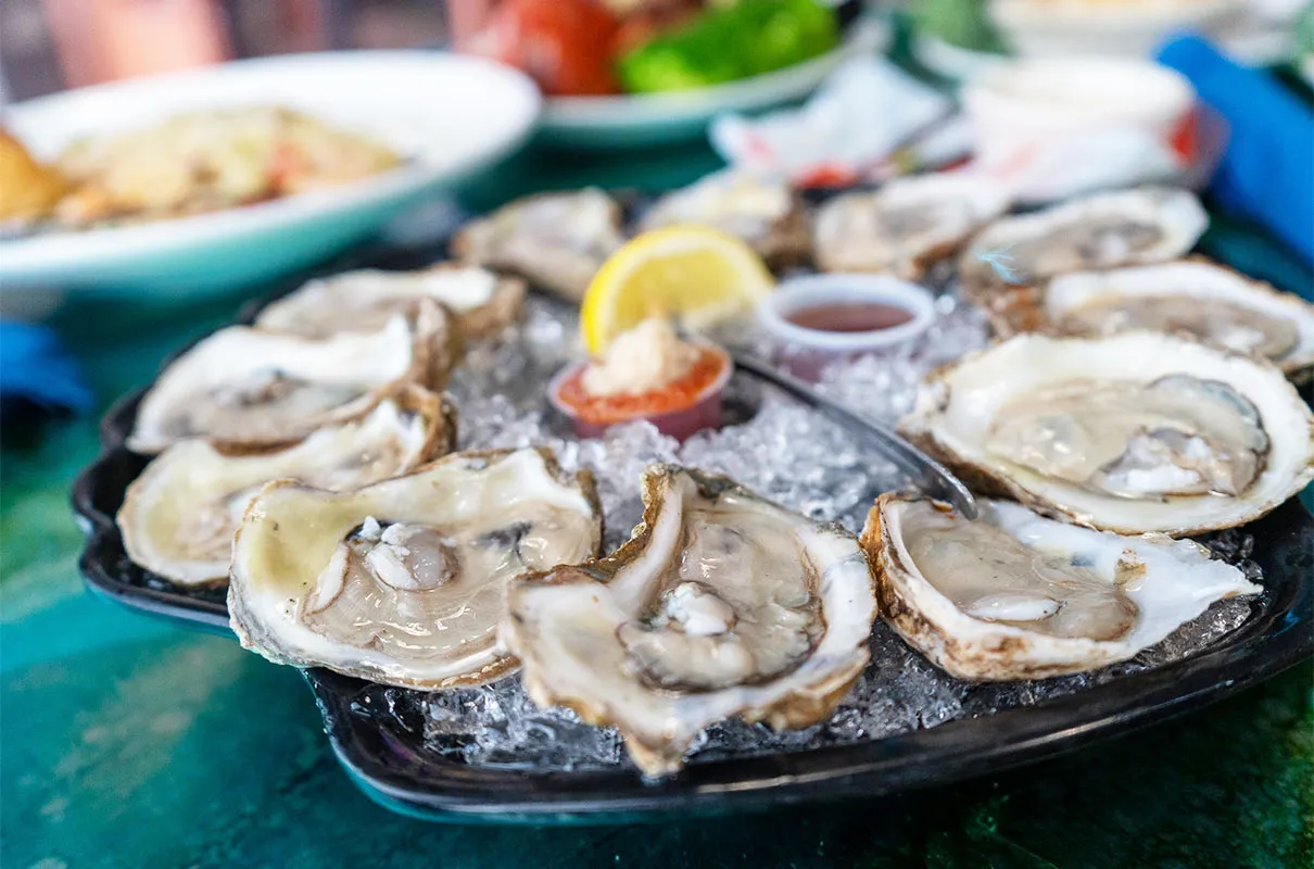 Majic Oyster Bar and Seafood Grill