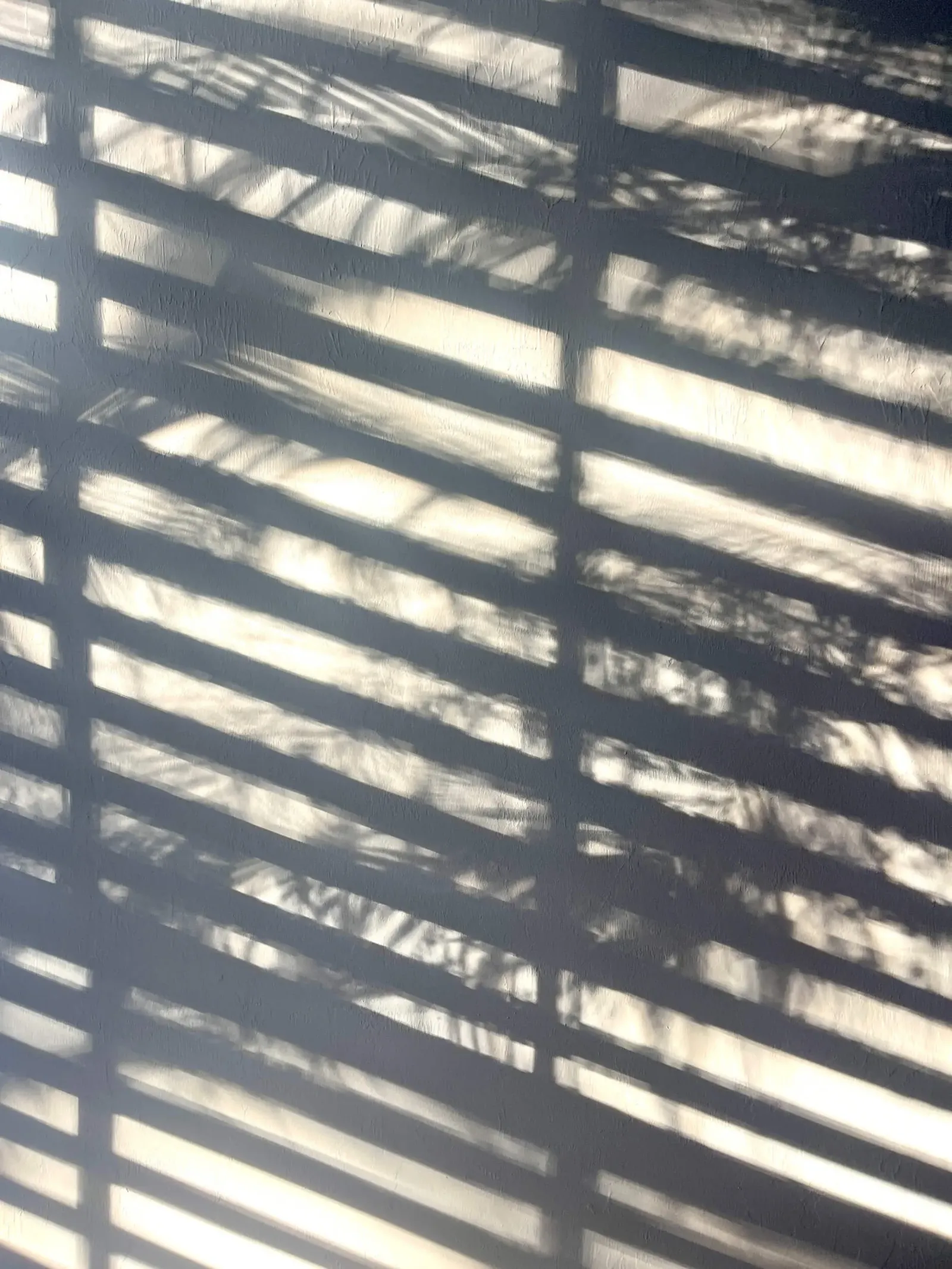 colton-johnson-dnFf6VPwl9k-unsplash