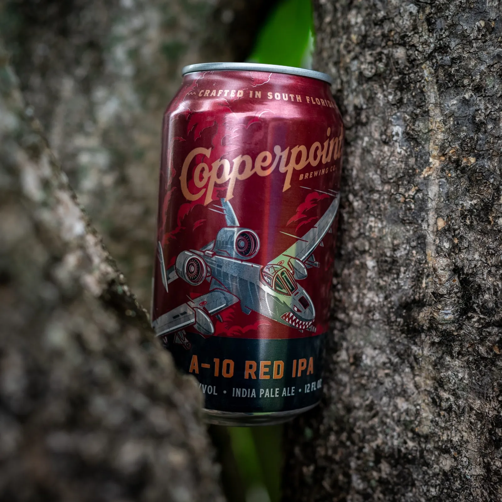 Copperpoint Brewing Company
