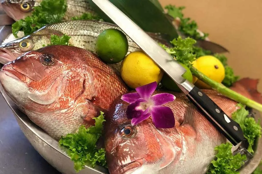 Maguro Sushi & Steak House