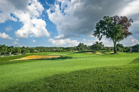 Golf Course Green view