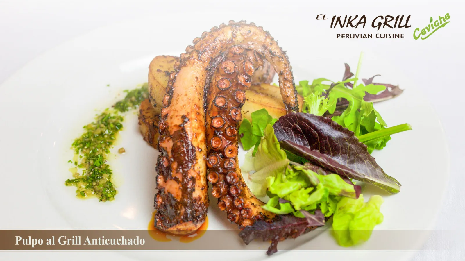 A plate of food with octopus and salad.