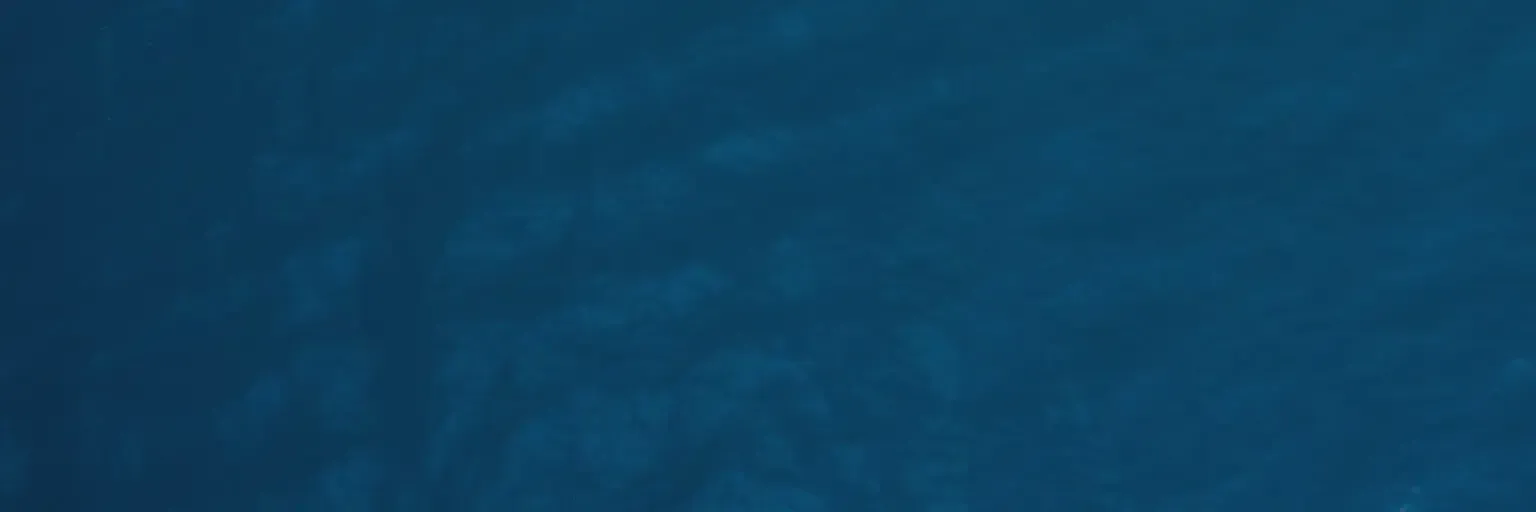 Footer background