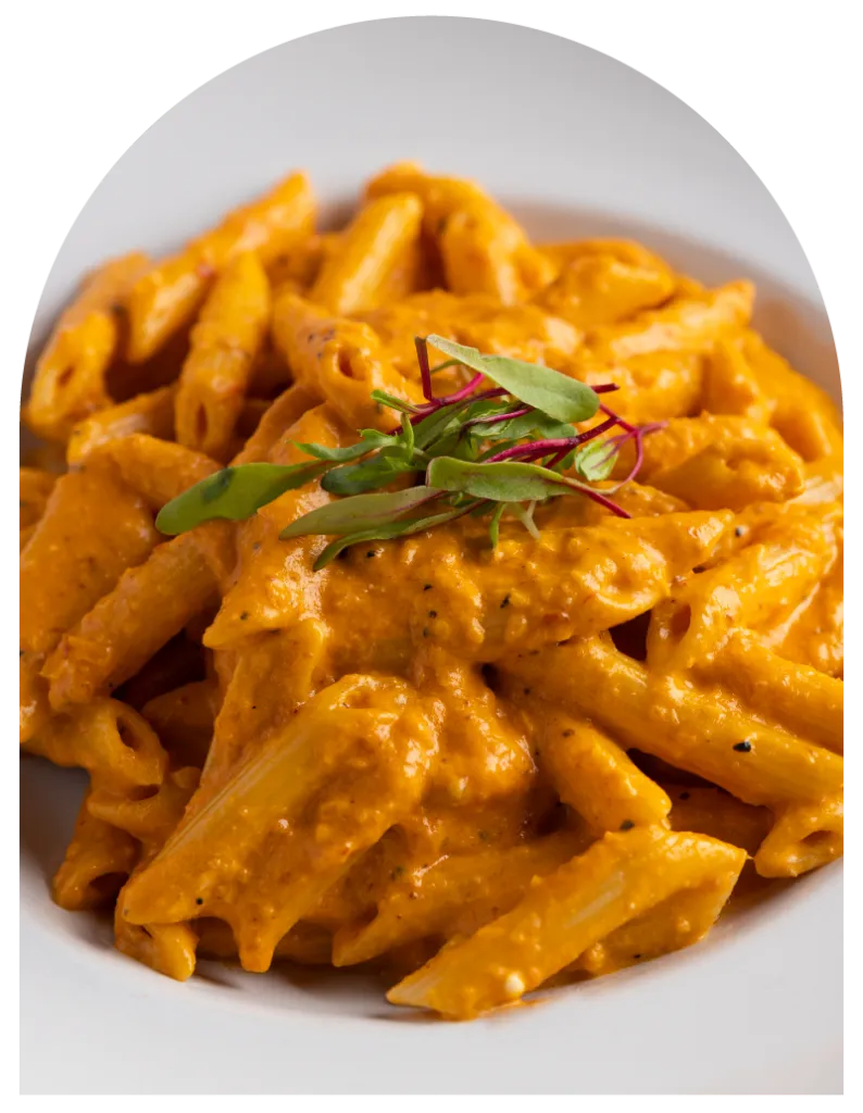 Bavaros Penne Alla Vodka