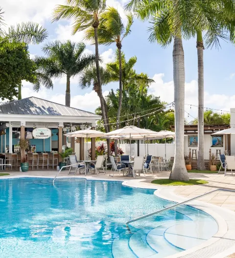 Toasted Coconuts bar at Blue Flamingo