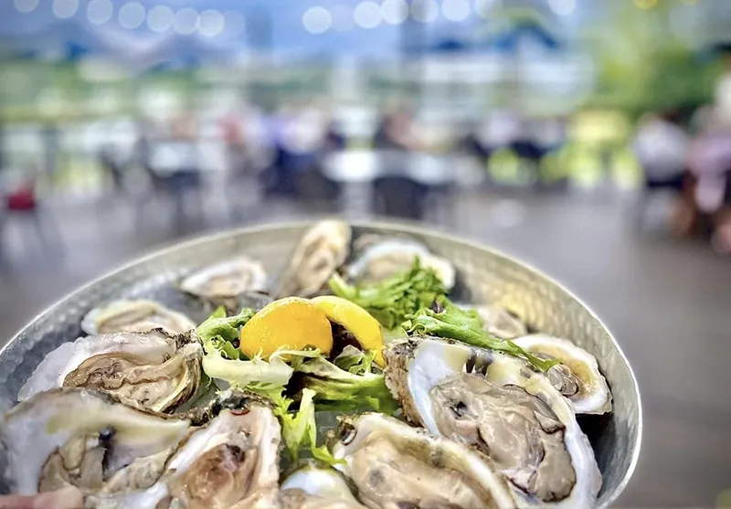 oysters
