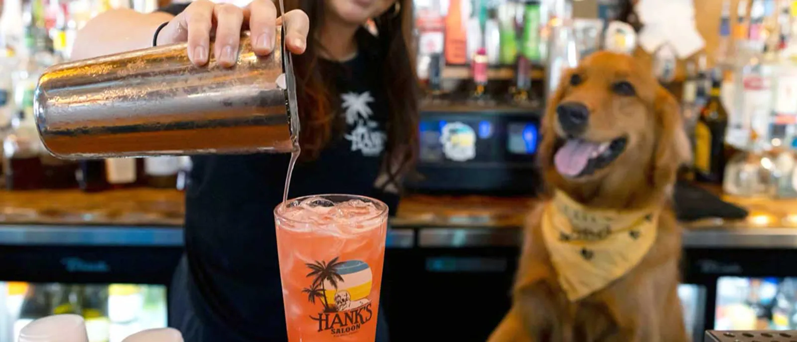 Hanks Hair of the Dog Saloon