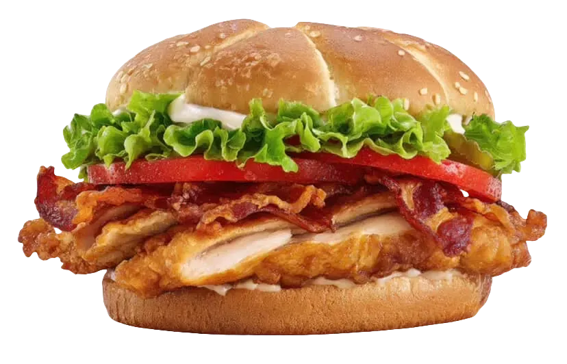 Fully Loaded chicken sammie served hot