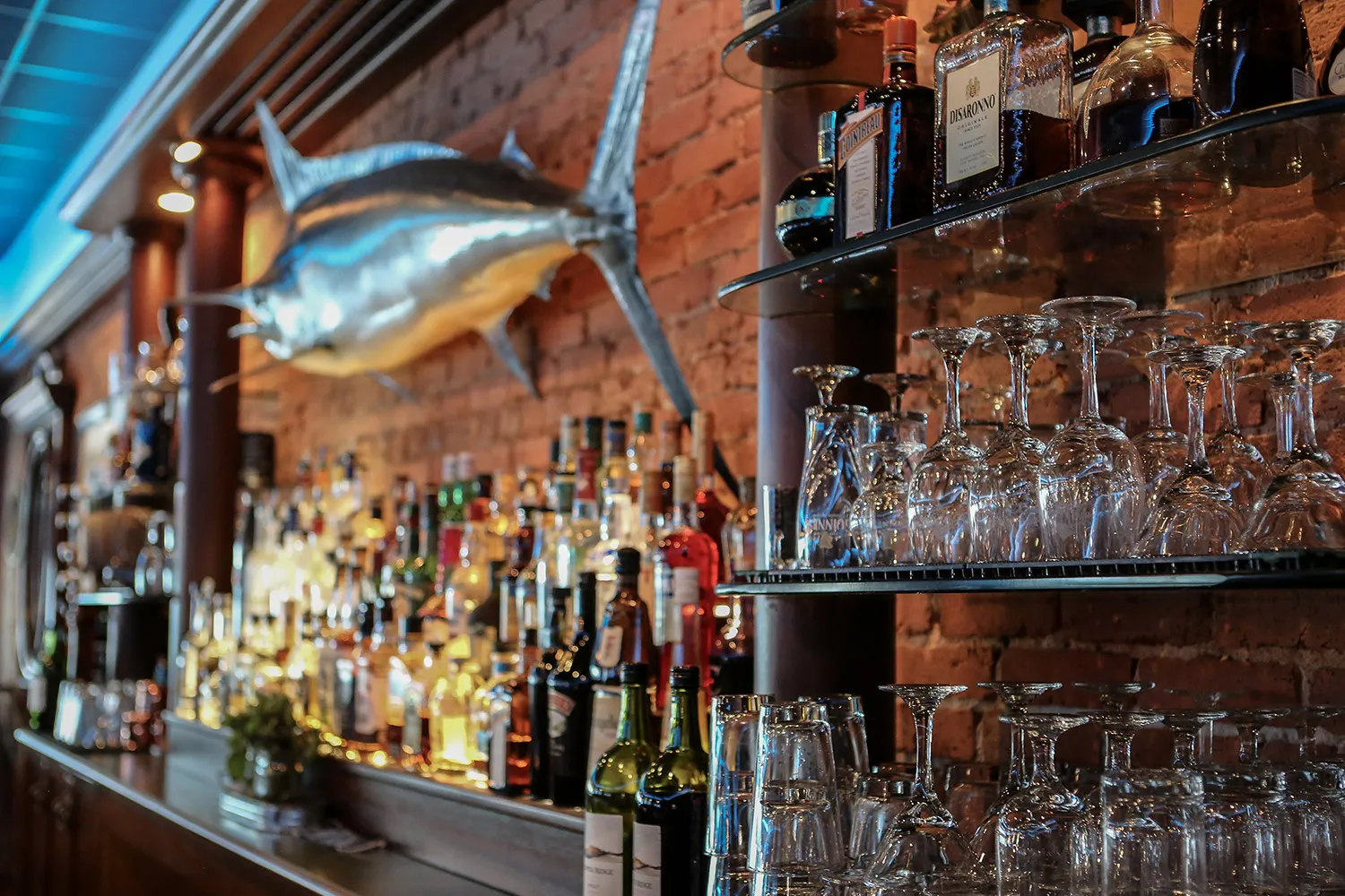 The Black Marlin