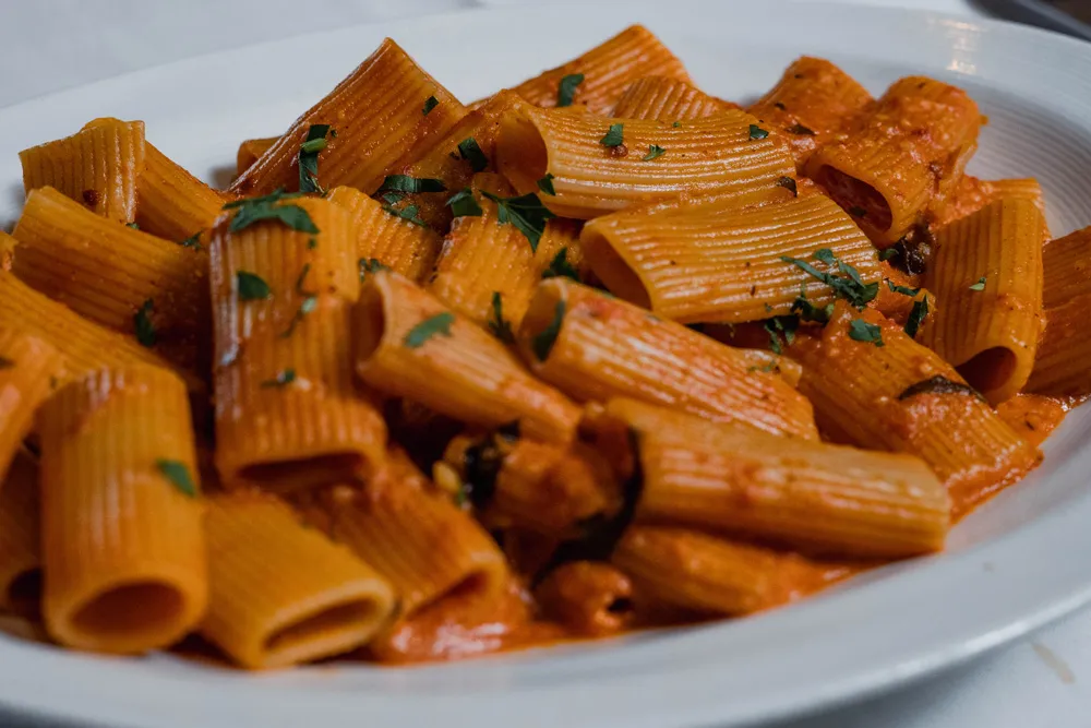 Rigatoni in vodka sauce